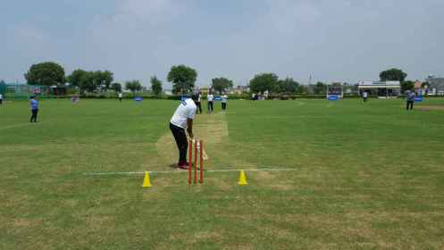 Cricket At Spencer