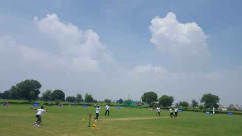 Cricket At Spencer